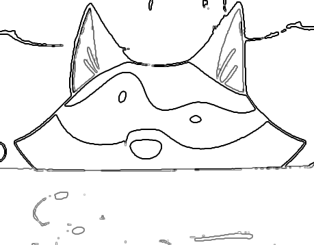 the recurring raccoon i